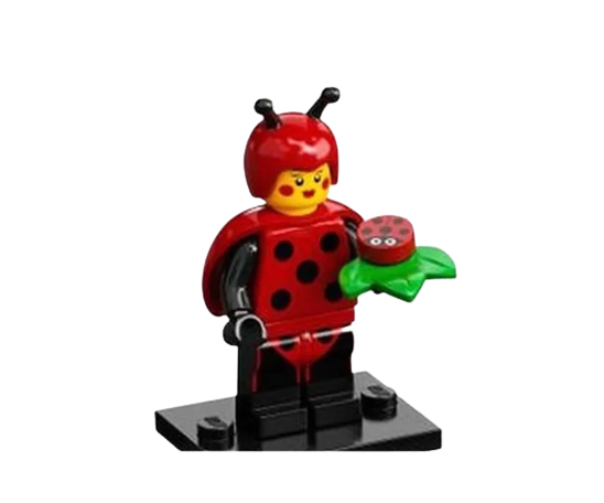 71029 - Ladybug Girl