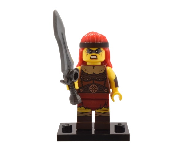 Lego 71045 Fierce Barbarian – Col25-11